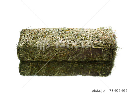fresh hay dry grass cube for domestic animals feeding, isolated on white 73405465