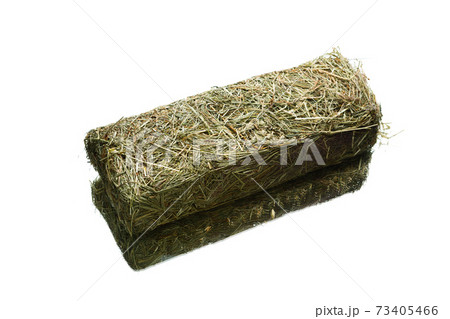 fresh hay dry grass cube for domestic animals feeding, isolated on white 73405466