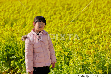 満開の菜の花の畑で遊んでいる可愛い子供の様子の写真素材