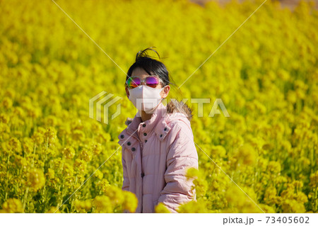 満開の菜の花の畑で遊んでいる可愛い子供の様子の写真素材
