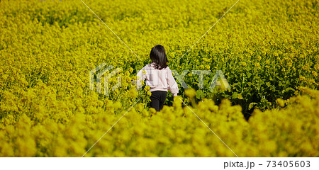 満開の菜の花の畑で遊んでいる可愛い子供の様子の写真素材