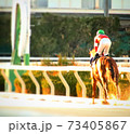 競馬写真 73405867