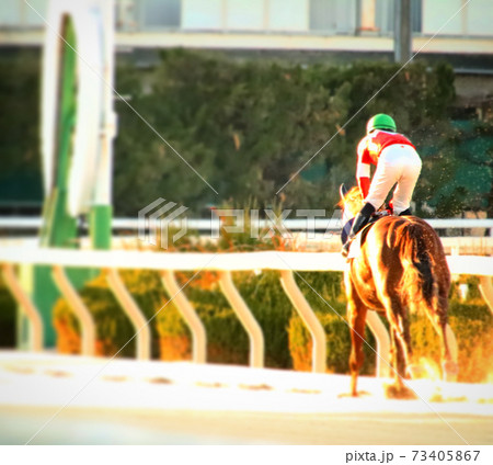 競馬写真 73405867