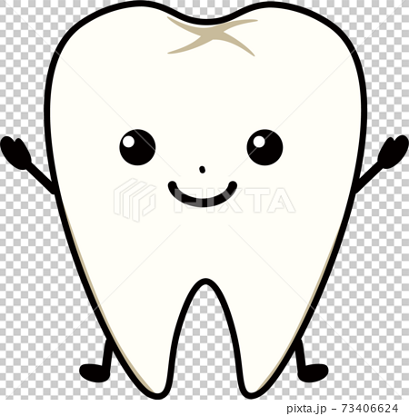 健康な歯のイラスト素材