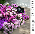 ピンク 花 万 73406766
