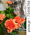 花 花束 カーネーション 73406768