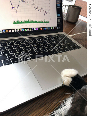 うちの猫　ー僕もパソコン使うにゃー 73406923