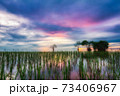 Beautiful sunrise from the lake Pakpra 73406967