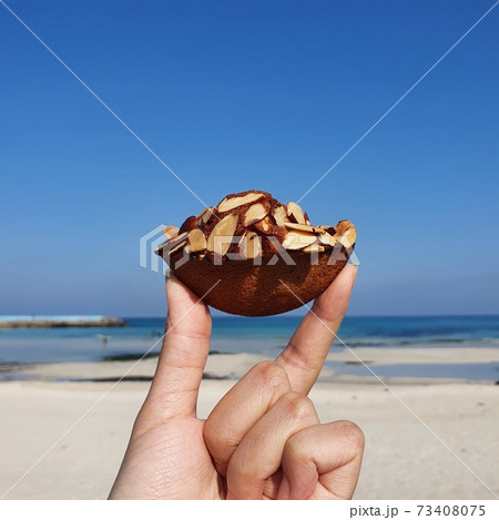 海岸 手 海 73408075