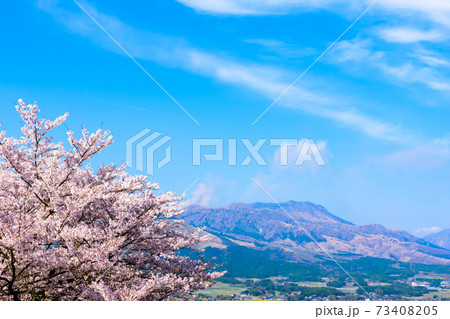 阿蘇山・阿蘇五岳全景を背景に最高に美しい春空と桜並木風景 日本 熊本県南阿蘇2020年春撮影 阿蘇山・阿蘇五岳全景を背景に最高に美しい春空と桜並木風景 日本 熊本県南阿蘇2020年春撮影 73408205