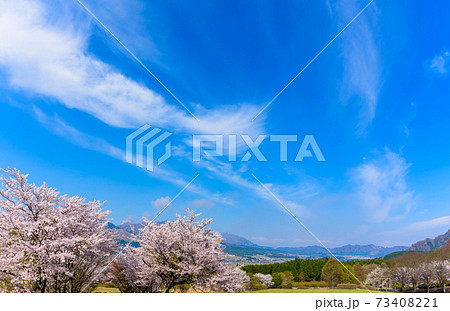 阿蘇山・阿蘇五岳全景を背景に最高に美しい春空と桜並木風景 日本 熊本県南阿蘇2020年春撮影 阿蘇山・阿蘇五岳全景を背景に最高に美しい春空と桜並木風景 日本 熊本県南阿蘇2020年春撮影 73408221
