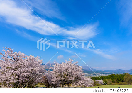 阿蘇山・阿蘇五岳全景を背景に最高に美しい春空と桜並木風景 日本 熊本県南阿蘇2020年春撮影 阿蘇山・阿蘇五岳全景を背景に最高に美しい春空と桜並木風景 日本 熊本県南阿蘇2020年春撮影 73408222