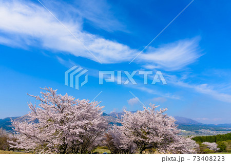 阿蘇山・阿蘇五岳全景を背景に最高に美しい春空と桜並木風景 日本 熊本県南阿蘇2020年春撮影 阿蘇山・阿蘇五岳全景を背景に最高に美しい春空と桜並木風景 日本 熊本県南阿蘇2020年春撮影 73408223