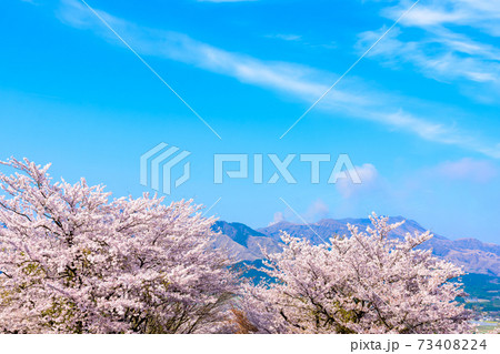 阿蘇山・阿蘇五岳全景を背景に最高に美しい春空と桜並木風景　日本　熊本県南阿蘇2020年春撮影 73408224
