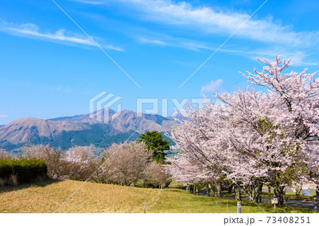 阿蘇山・阿蘇五岳全景を背景に最高に美しい春空と桜並木風景　日本　熊本県南阿蘇2020年春撮影 73408251