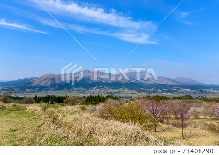 阿蘇山・阿蘇五岳全景を背景に最高に美しい春空と桜並木風景　日本　熊本県南阿蘇2020年春撮影 73408290