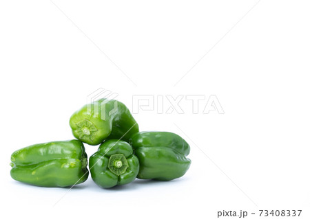 ピーマン 複数 白バック ピーマン 複数 白バック 73408337
