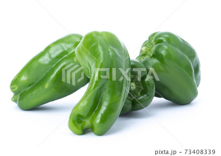 ピーマン　複数　白バック 73408339