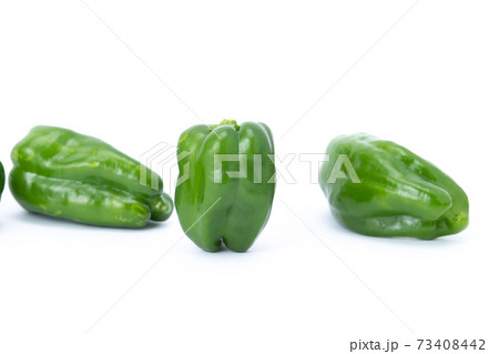ピーマン　複数　白バック 73408442
