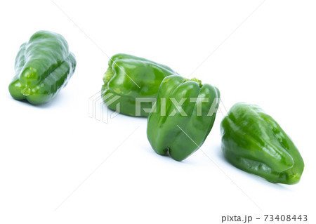 ピーマン　複数　白バック 73408443
