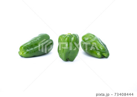 ピーマン　複数　白バック 73408444