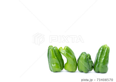 ピーマン　複数　白バック 73408570