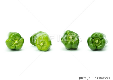 ピーマン　複数　白バック 73408594