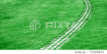 Stone pathway in the summer green with grass around. 73408601