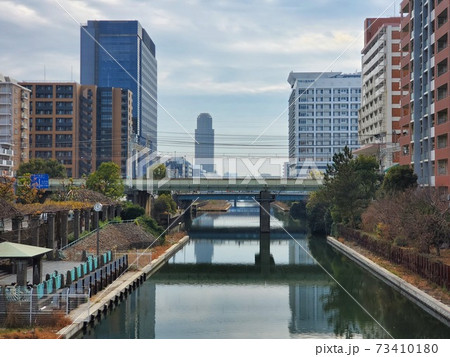 横十間川 73410180