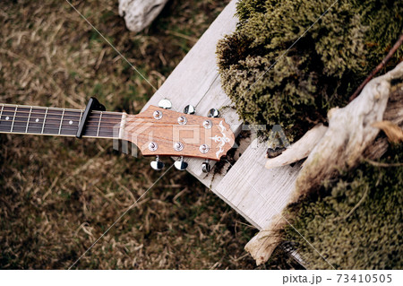 Guitar fretboard and headstock on green grass in nature. Guitar fretboard and headstock on green grass in nature. 73410505