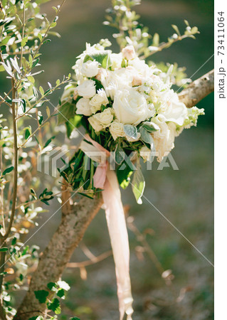bridal bouquet of white roses, calla lilies, honeysuckle flowers, stachys and white ribbons on the olive tree 73411064