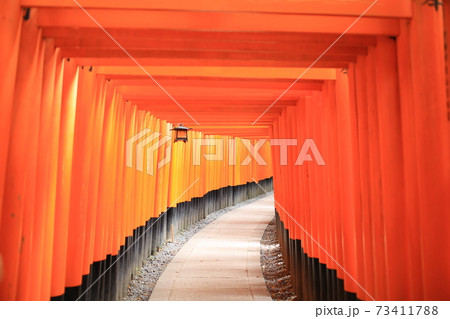 orange Fushimi Inari Taisha Shrine in Kyoto, Japan orange Fushimi Inari Taisha Shrine in Kyoto, Japan 73411788