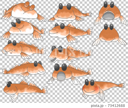 デフォルメしたかわいいハゼ12種 73412688