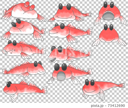 デフォルメしたかわいいハゼ12種 赤色 のイラスト素材