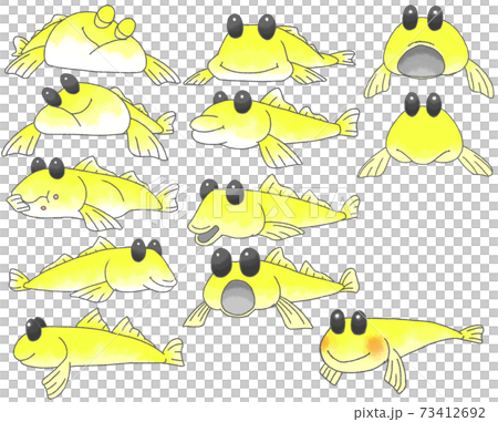 デフォルメしたかわいいハゼ12種 黄色 のイラスト素材
