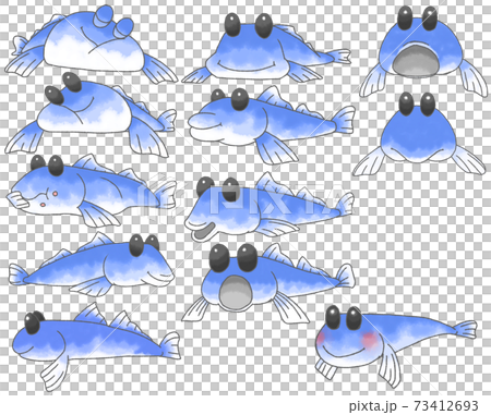 デフォルメしたかわいいハゼ12種 青色 のイラスト素材