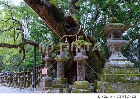 春日大社 燈籠 春日大社 燈籠 73412722