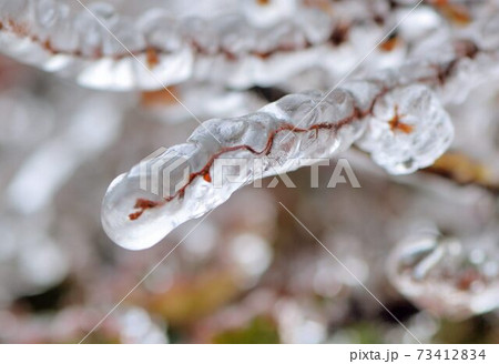台湾 乗り物 自動車 73412834