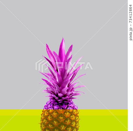 Photo pop art color pineapple on retro background Photo pop art color pineapple on retro background 73412864