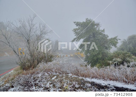 乗り物 自動車 車 73412908