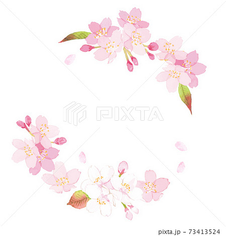 桜 背景 ベクターイラストのイラスト素材