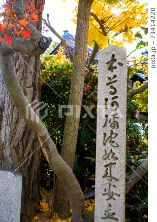 須磨寺 須磨寺 73414220