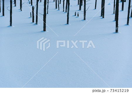 雪に覆われた青い池 73415219