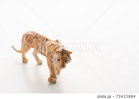 トラ 虎 の画像素材 ピクスタ