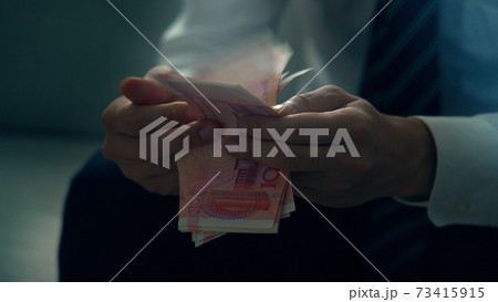 紙幣を数える男性の手 紙幣を数える男性の手 73415915