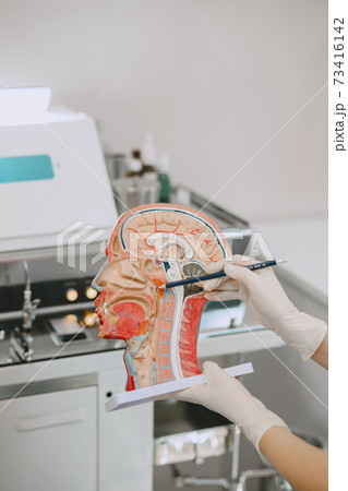 Otolaryngologist preparing for the medical examination procedure Otolaryngologist preparing for the medical examination procedure 73416142