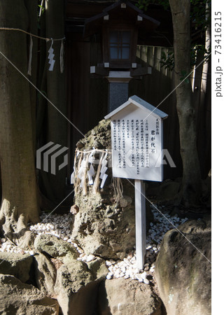 千葉県の「検見川神社」へ初めて初詣に行ってきた 千葉県の「検見川神社」へ初めて初詣に行ってきた 73416215