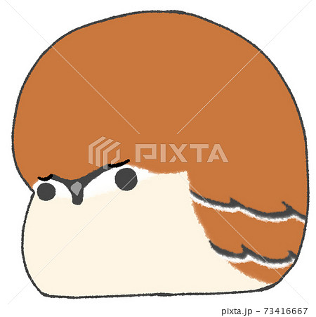眠るかわいいスズメのイラスト素材