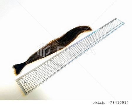 ヘアドネーションのドネーションヘアと定規 ヘアドネーションのドネーションヘアと定規 73416914