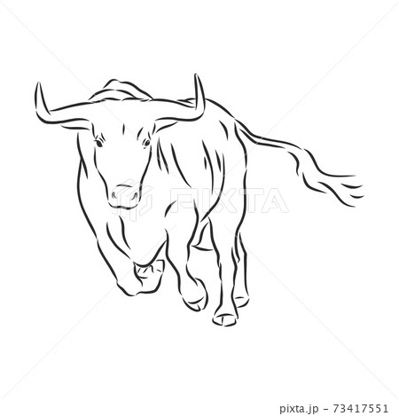 Sketch Bull. Vector Hand Drawn Illustration. Side View. bull vector sketch illustration Sketch Bull. Vector Hand Drawn Illustration. Side View. bull vector sketch illustration 73417551